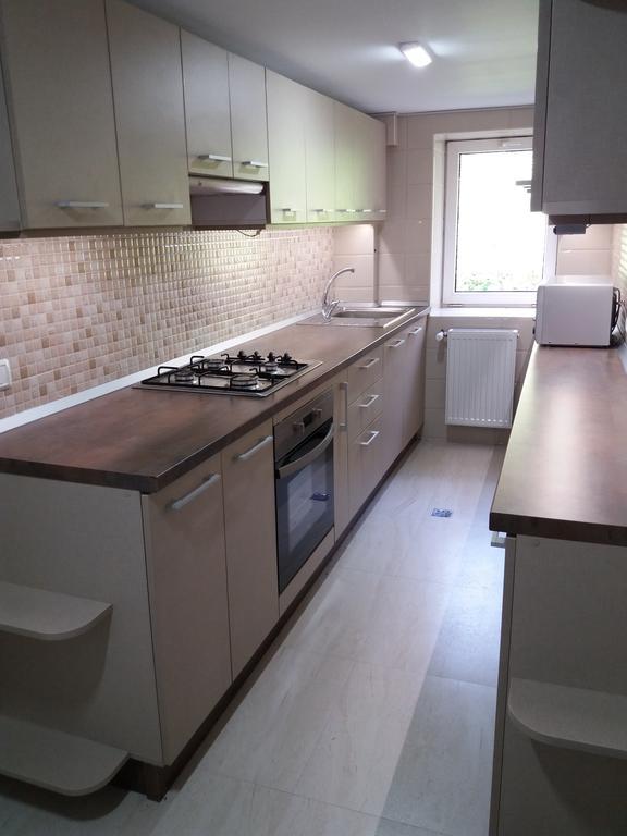 Vila Viitorul Buşteni Dış mekan fotoğraf